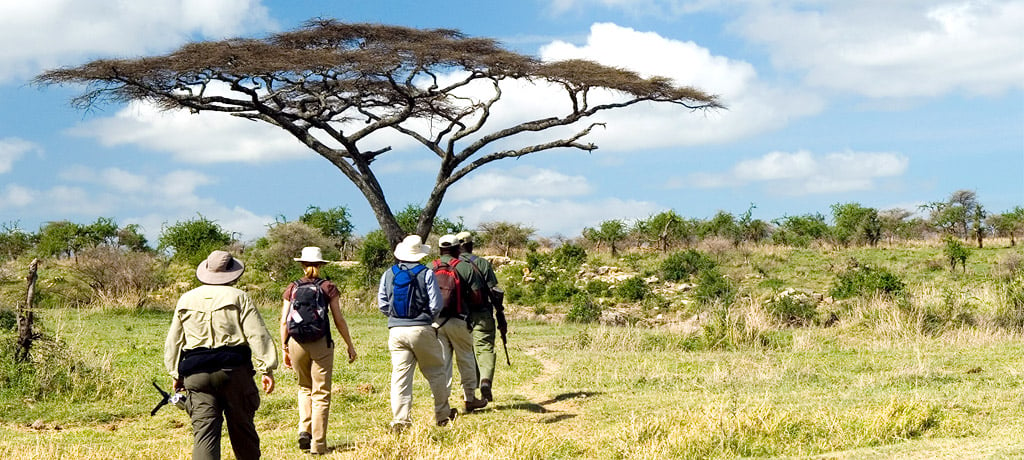 Walking safari